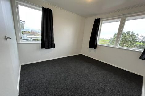 Photo of property in 20 Mahoe Street, Levin, 5510