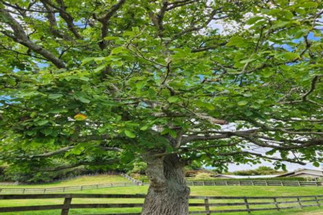 Photo of property in 136 Brunswick Drive, Tikitere, Rotorua, 3074