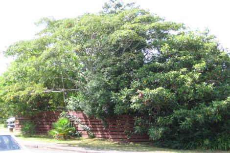 Photo of property in 15 Corric Hill, Torbay, Auckland, 0630