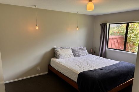 Photo of property in 2/9 Ikamatua Lane, Sydenham, Christchurch, 8023