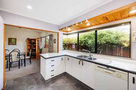 Photo of property in 61 Clarke Avenue, Highbury, Palmerston North, 4412