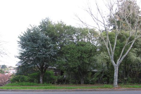 Photo of property in 161 Everglade Drive, Totara Heights, Auckland, 2105