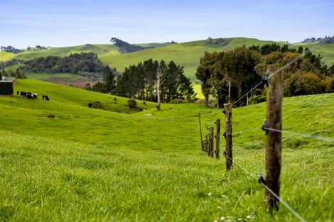 Photo of property in 19 Roddy Road, Everett Park, New Plymouth, 4373