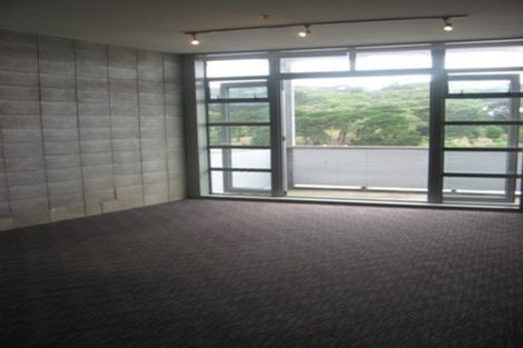 Photo of property in Vespa Apartments, 302/20 Hanson Street, Mount Cook, Wellington, 6021