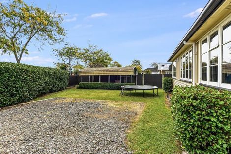 Photo of property in 7 Armitage Place, Fairfield, Hamilton, 3214