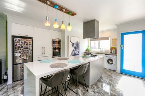 Photo of property in 133 Vivian Street, New Plymouth, 4310