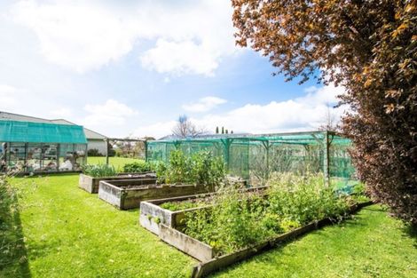 Photo of property in 1d Mary Street, Masterton, 5810