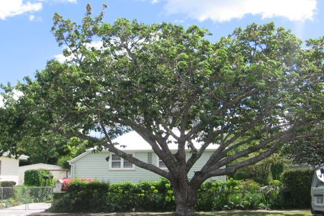 Photo of property in 7 Kiwi Street, Matamata, 3400