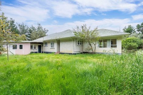 Photo of property in 383 Hokio Sand Road, Hokio Beach, Levin, 5571