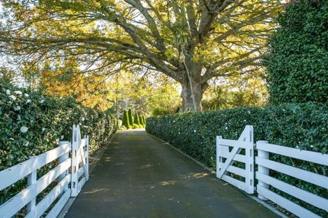 Photo of property in 45 Lowe Road, Rukuhia, Hamilton, 3282