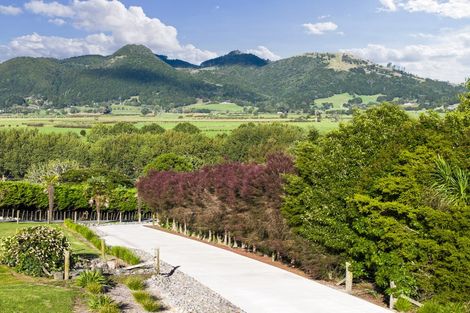 Photo of property in 45a Finlayson Road, Matarau, Kamo, 0176