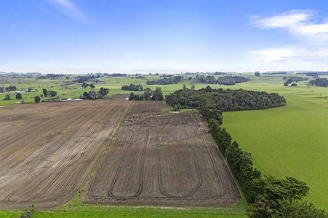 Photo of property in 352 Jeffersons Line, Marton, 4788