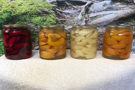 Photo of property in 8 Ocean View Terrace, Sumner, Christchurch, 8081