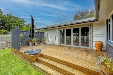 Photo of property in 47 Morrow Avenue, St Andrews, Hamilton, 3200