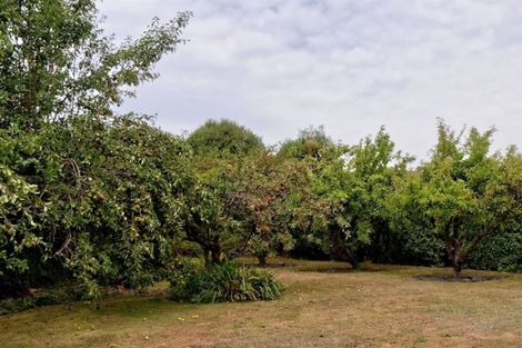 Photo of property in 22a Wingate Street, Redwood, Christchurch, 8051