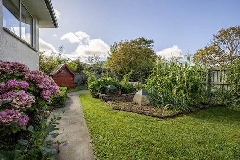 Photo of property in 14 Rimu Street, Highfield, Timaru, 7910