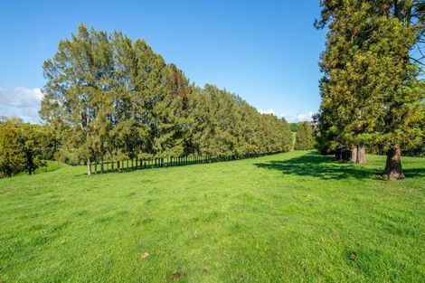 Photo of property in 48d Youngson Road, Whakamarama, 3180