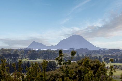 Photo of property in 220a Braemar Road, Manawahe, Whakatane, 3193