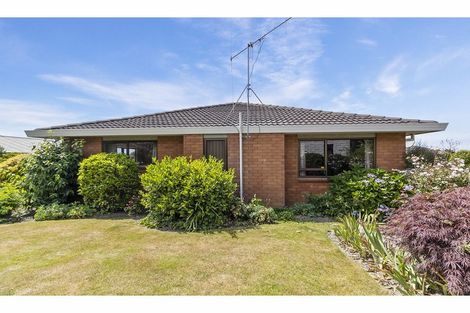 Photo of property in 184 Morgans Road, Marchwiel, Timaru, 7910