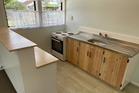 Photo of property in 49 Domett Street, Kawerau, 3127