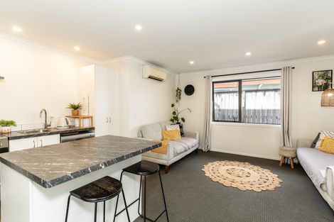 Photo of property in 217d Killarney Road, Frankton, Hamilton, 3204