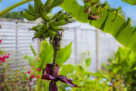 Photo of property in 15 The Avenue, Otaki Beach, Otaki, 5512
