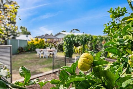 Photo of property in 52 Campbell Avenue, Paraparaumu, 5032