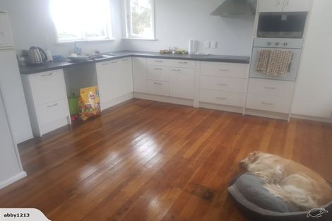 Photo of property in 43 Clapham Street, Shannon, 4821