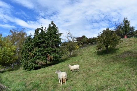 Photo of property in 52 Dixon Way, Taihape, 4720