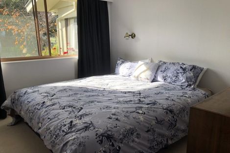 Photo of property in 324 Clyde-alexandra Road, Alexandra, 9391