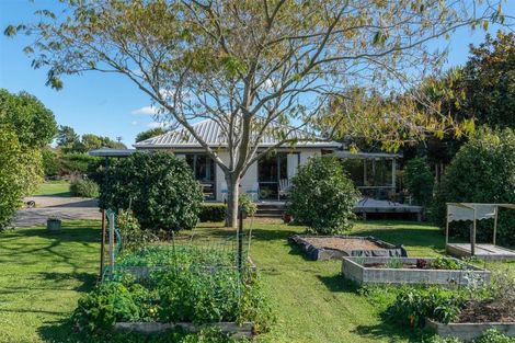 Photo of property in 291 Koputaroa Road, Koputaroa, Levin, 5575