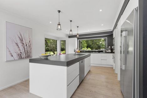 Photo of property in 97 Butcher Road, Matangi, Hamilton, 3284