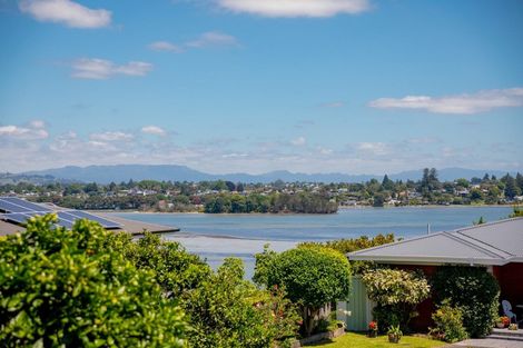 Photo of property in 346a Maungatapu Road, Maungatapu, Tauranga, 3112