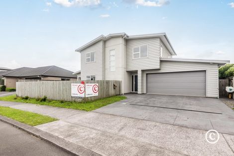 Photo of property in 224 Mark Avenue, Grenada Village, Wellington, 6037