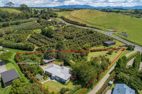 Photo of property in 29 Whakamarama Road, Whakamarama, Tauranga, 3179