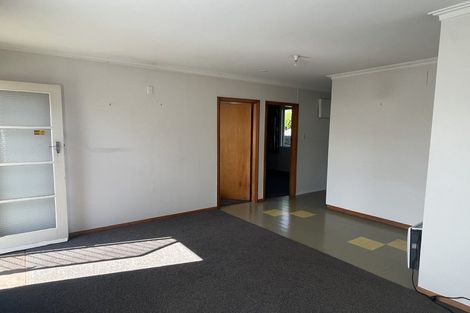 Photo of property in 117 Victoria Avenue, Hokowhitu, Palmerston North, 4410