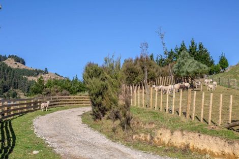 Photo of property in 132 Mount Holdsworth Road, Mount Holdsworth, Carterton, 5791