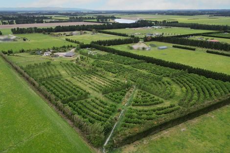 Photo of property in 2832 South Eyre Road, Eyrewell, Rangiora, 7476