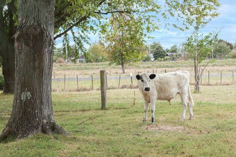 Photo of property in 79/79a Gordon Avenue, Te Aroha, 3392
