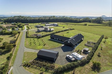 Photo of property in 423b Youngson Road, Whakamarama, Tauranga, 3179