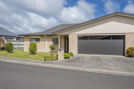 Photo of property in 57/91 Mako Mako Road, Levin, 5510