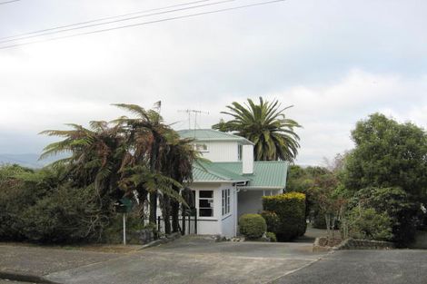 Photo of property in 6 Hillview Terrace, Levin, 5510