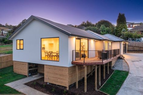 Photo of property in 17 Corbett Street, Green Island, Dunedin, 9018