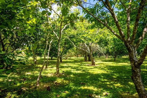 Photo of property in 303 Puketotara Road, Waipapa, Kerikeri, 0295