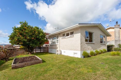 Photo of property in 147 Tirau Street, Putaruru, 3411