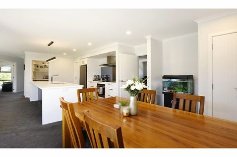 Photo of property in 16 Hart Road, Richmond, 7020