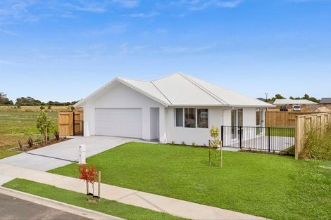 Photo of property in 63 Hampton Terrace, Matamata, 3400