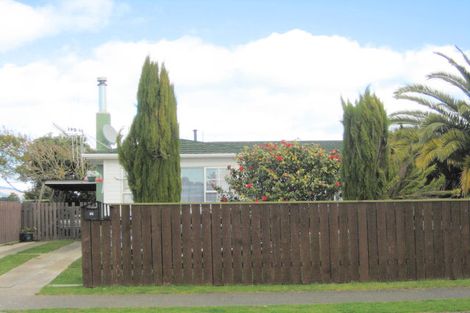 Photo of property in 61 Strathmore Avenue, Levin, 5510