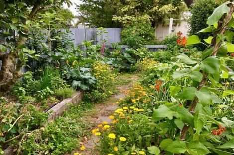 Photo of property in 8 Seddon Street, Carterton, 5713