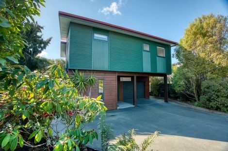 Photo of property in 132 Brickfield Road, Blue Spur, Hokitika, 7882